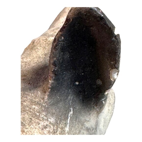 Vintage Miniature French Bulldog Figurine Sculpture Frenchie White Black Dog SEE - Picture 9 of 10